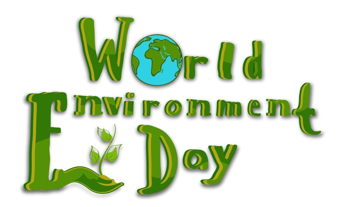 World Environment Day Downs Junior School Music